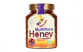 Superbee Multiflora Honey   Plastic Jar  500 grams